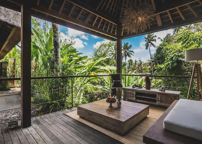 Luwak & Jungle Ubud