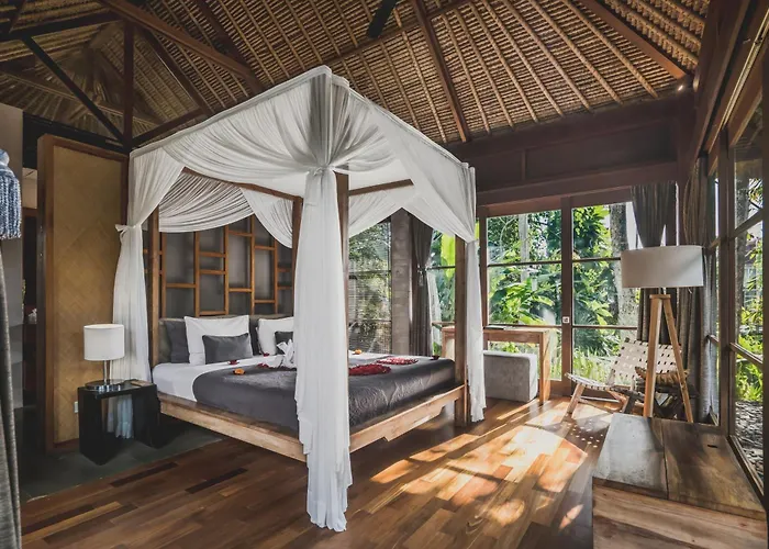 Luwak & Jungle *