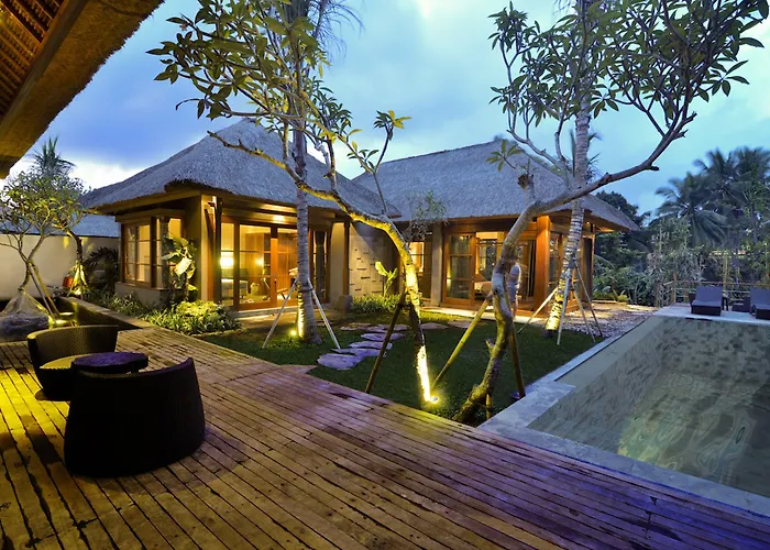 Luwak & Jungle *