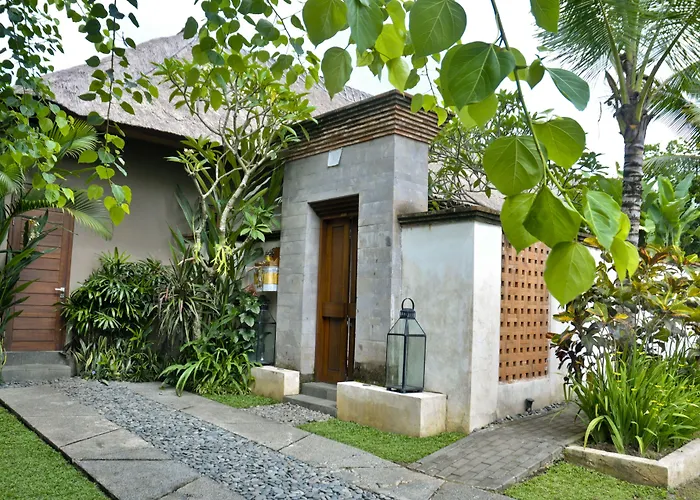 Luwak & Jungle *