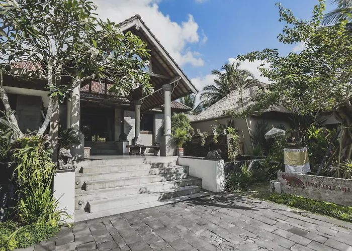 Luwak & Jungle Ubud