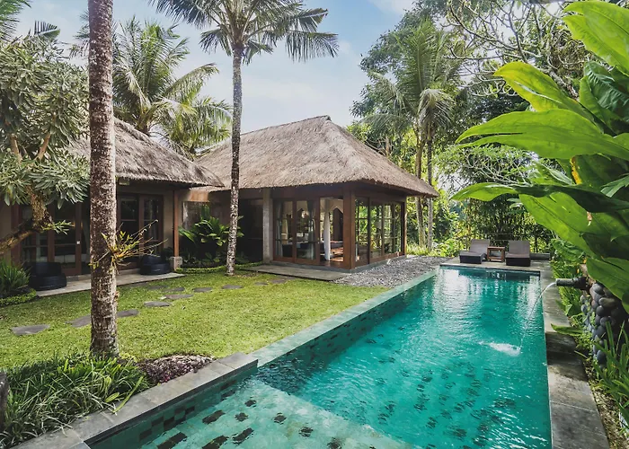 Luwak & Jungle